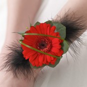 Red Germini & Feather Wrist Corsage
