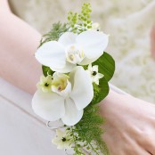 White Orchid & Fern Wrist Corsage