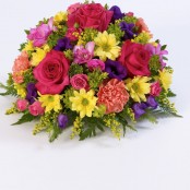 Classic Posy Vibrant