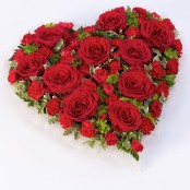 Red Rose and Carnation Heart