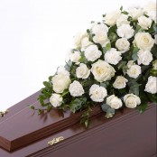 Rose and Carnation Casket Spray White