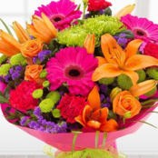 Bright and Cheery